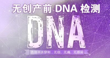 城阳莲池专家讲解：无创DNA检测